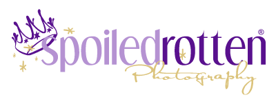 franchise_logo